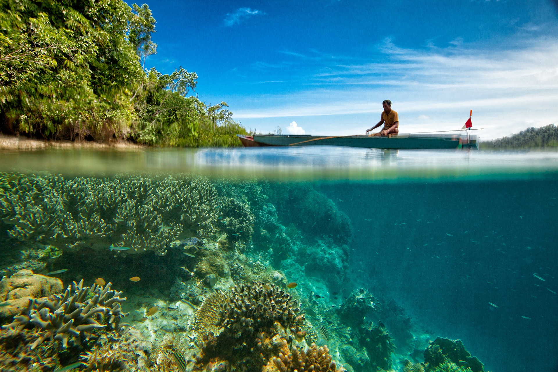 Protégez votre peau pour cet été et respectez les récifs coralliens