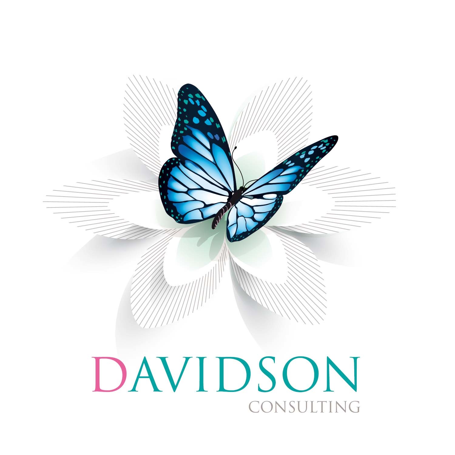 Télephone information entreprise  Davidson Consulting