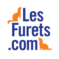Entrer en communication avec Lesfurets.com