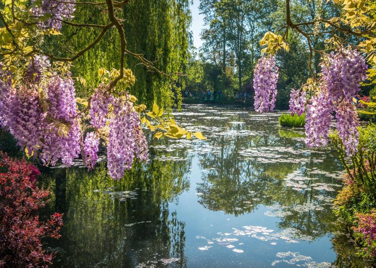 Téléphone pour contacter avec Les Jardins de Claude Monet à Giverny : Une Oasis d’Impressionnisme