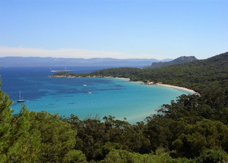 Île de Porquerolles (1)