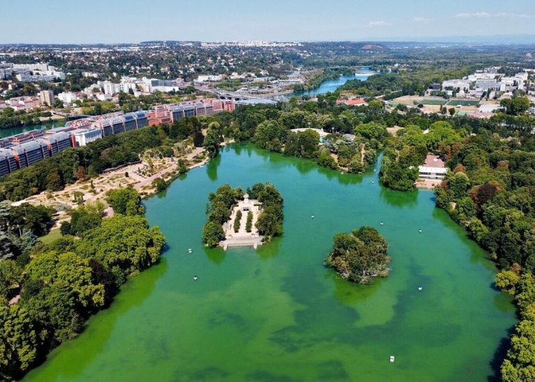 Assistance téléphonique pour joindre Découvrez le Parc de la Tête d’Or : Un joyau verdoyant au cœur de Lyon