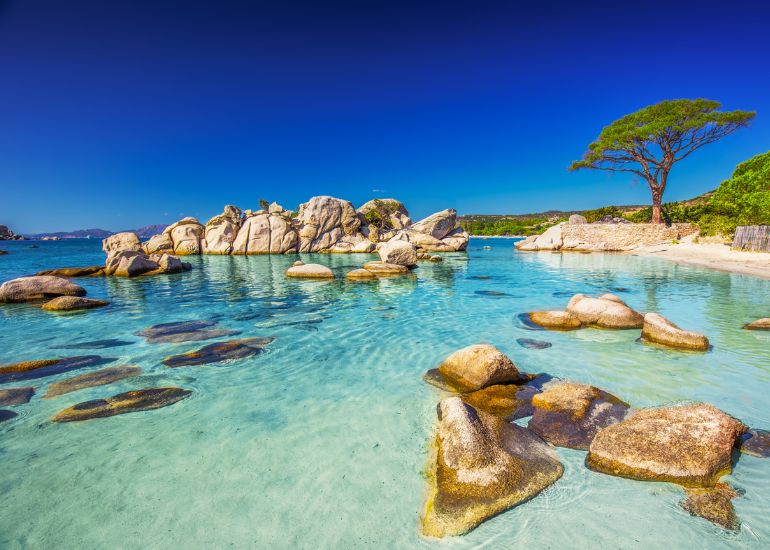 Télephone information entreprise Découvrez la Plage de Palombaggia : Un Paradis Corse aux Eaux Cristallines